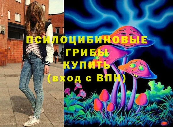 винт Баксан